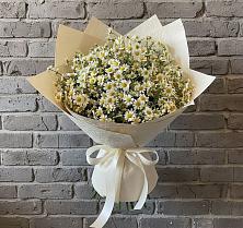 Букет цветов из:  Ромашки в Троицкое