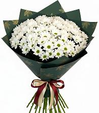 Букет цветов из:  Хризантемы #REPLACE_PRED# Троицкое