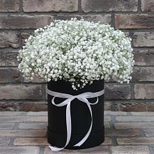 Цветочная композиция из Гипсофила в шляпной коробке в Троицкое