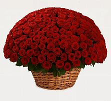 Премиум букет из: Розы #REPLACE_PRED# Троицкое